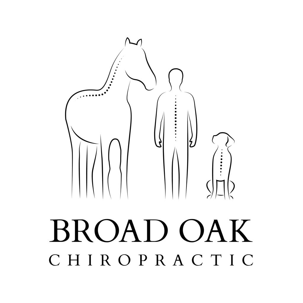 Serena Ridley Broadoak Chiropractic Broadoak Chiro