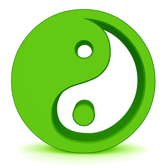 Ying-Yang Symbol